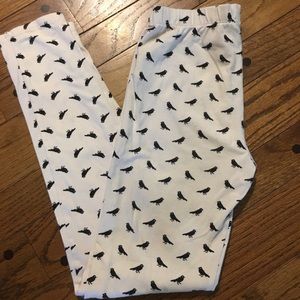 Gap Kids girls bird leggings size XL-12